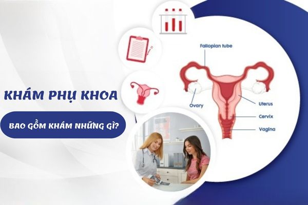 Khám phụ khoa bao gồm khám những gì? Khi nào cần đi khám phụ khoa