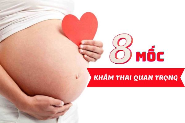 8 mốc khám thai quan trọng mẹ bầu tuyệt đối không nên bỏ qua