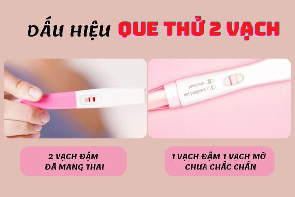 Cách đọc que thử thai chính xác nhất