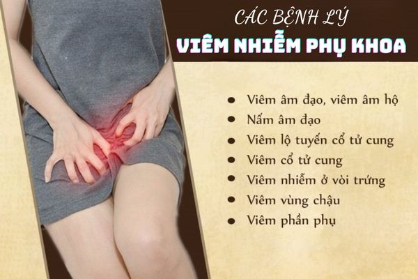 Các bệnh lý viêm nhiễm phụ khoa thường gặp