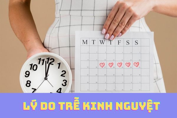 Những lý do trễ kinh nguyệt thường gặp ở nữ giới