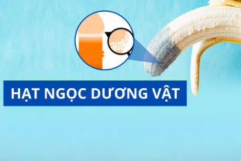 Hạt ngọc dương vật là gì? Có nguy hiểm không?