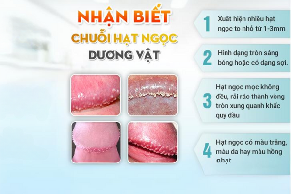 hat-ngoc-duong-vat-la-gi-co-nguy-hiem-khong-1