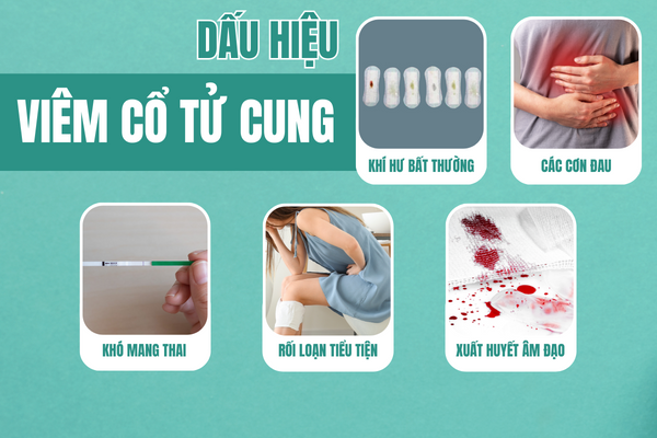 Nhung-thong-tin-can-biet-ve-viem-co-tu-cung-1