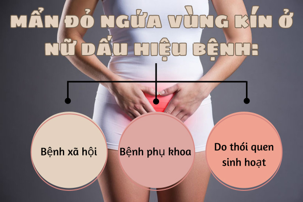 Mẩn đỏ ngứa vùng kín ở nữ - Dấu hiệu cảnh báo bệnh lý