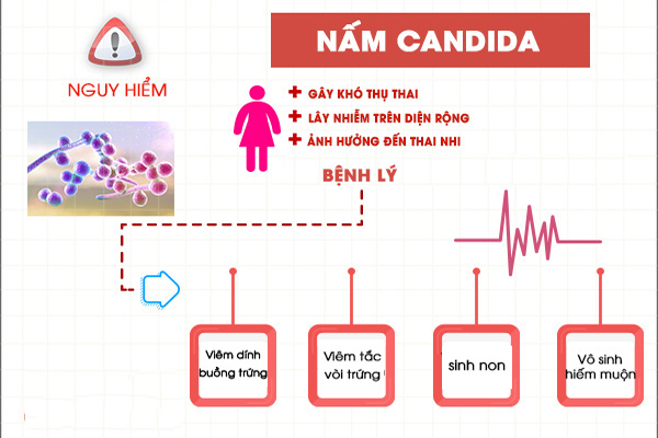 Tác hại do nấm candida gây ra