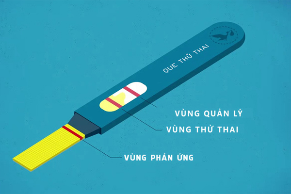 Que thử là dụng cụ thử thai phổ biến