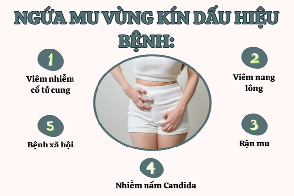 5 nguyên nhân gây ngứa mu vùng kín